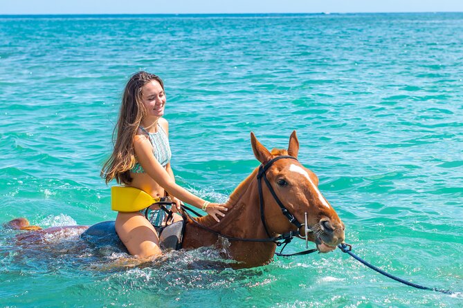 Jamaica All-Access Adventure Pass at Ocean Outpost - Price Check: $163.90 for a Full Day of Ocean Outpost Hits
