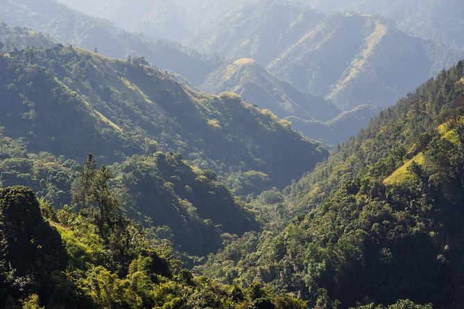 Jamaica Blue Mountain Guided Nature Tour - Key highlights to look for