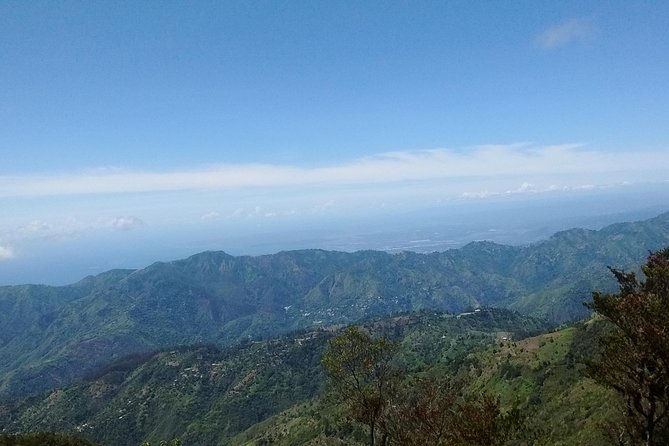 Jamaica Blue Mountain Guided Nature Tour - Why the Blue Mountains day trip feels like a reset from Kingston
