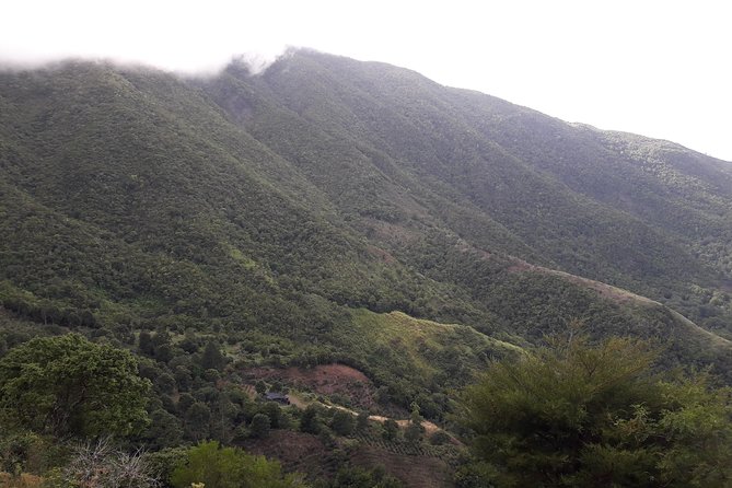 Jamaica Blue Mountain Guided Nature Tour - What to wear and bring for a cool mountain hike