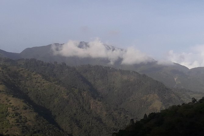 Jamaica Blue Mountain Guided Nature Tour - The drive up: lookout points with the city below in view