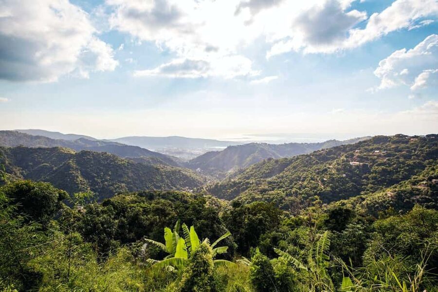 Jamaica: Blue Mountains Full Day Tour with Brunch & Lunch - Leaving Montego Bay Behind, and Getting Up Into the Blue Mountains