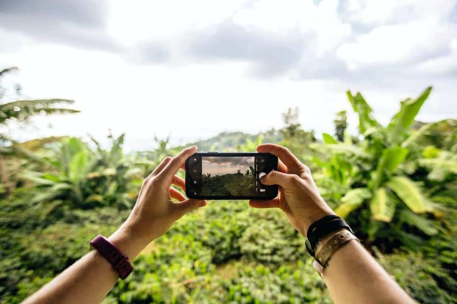 Jamaica: Blue Mountains Full Day Tour with Brunch & Lunch - Rainforest Walks, Herb Talk, and Those Misty Peaks