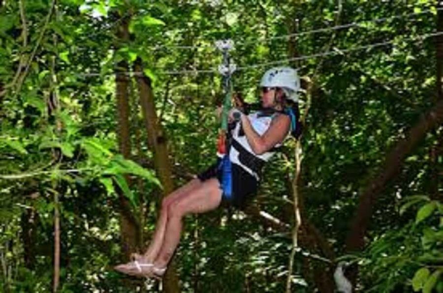 Jamaica Bobsled and Zip Line Adventure Tour - Key Highlights You’ll Actually Feel