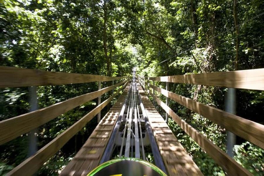 Jamaica Bobsled and Zip Line Adventure Tour - Jamaica’s Bobsled and Zip Line Combo: Why This Tour Works