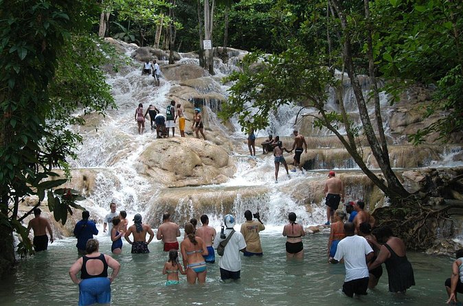 Jamaica Dunn's River Falls Party Cruise with Snorkeling - Jamaican Buffet and Snacks: What You’ll Eat Before the Water Works