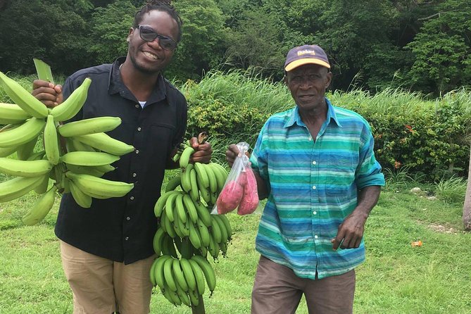 Jamaica Foodie and Cultural Experience & Konoko Falls Ocho Rios - Konoko Falls and Park: gardens, birds, and a possible waterfall climb