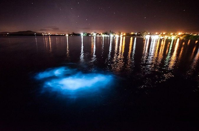 Jamaica Luminous Lagoon Private Tour with Transportation - Welcome drink and the calm pace that keeps it enjoyable