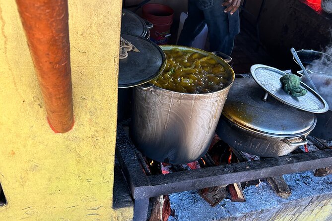 Jamaican Countryside Food Tasting Tour from Montego Bay - The money question: is $134.99 worth it for 2 to 3 hours?