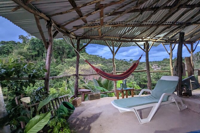Jamaican Roots Tropical Farm Tour - Taste & Explore (Negril) 2hr - The Fun Part: Seeing Fruits, Flowers, and Learning Pineapple Basics