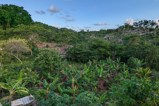 Jamaican Roots Tropical Farm Tour - Taste & Explore (Negril) 2hr - Price and Value: What $98 Buys You in Real Terms