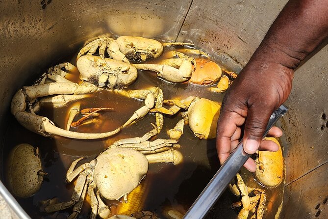 Jamaican Street Food and Rum Tasting Private Tour - Stop-by-stop timing in a 1 hour 15 minute loop