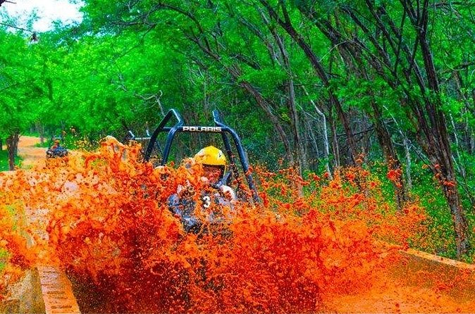 Jamwest ATV Off-Road Adventure & Zipline Combo in Negril - Who should book this ATV and zipline combo, and who should skip