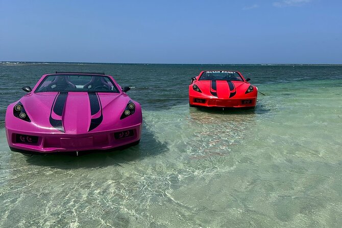 Jet Cars in Montego Bay and Private Transportation - Price and value: is $220 per person worth it?