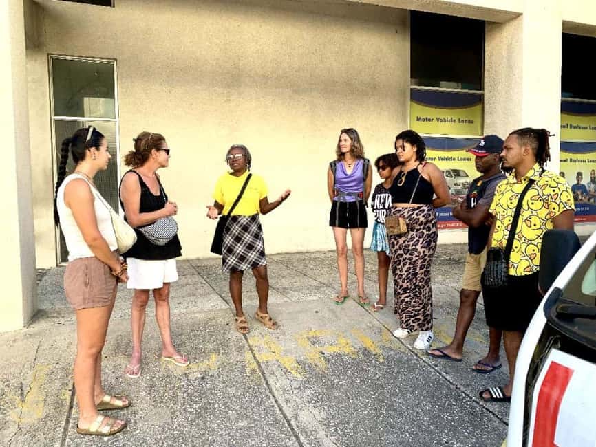 Kingston: Rhythmic Walking Music Tour - Record shops and a tiny studio, where the culture is still active