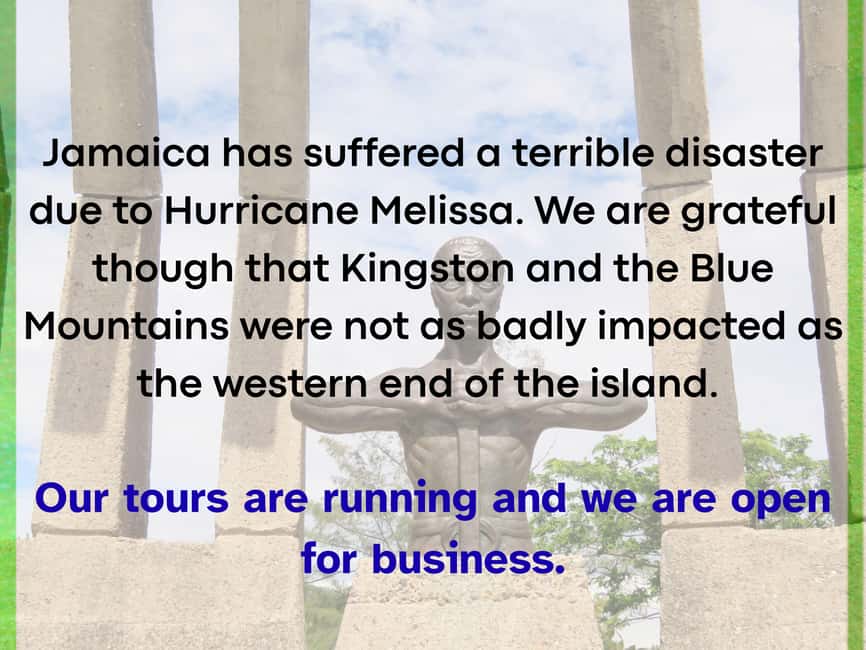 Kingston: Walking Tour with Mural Exploration - Starting at the National Gallery of Jamaica, then stepping into the street story