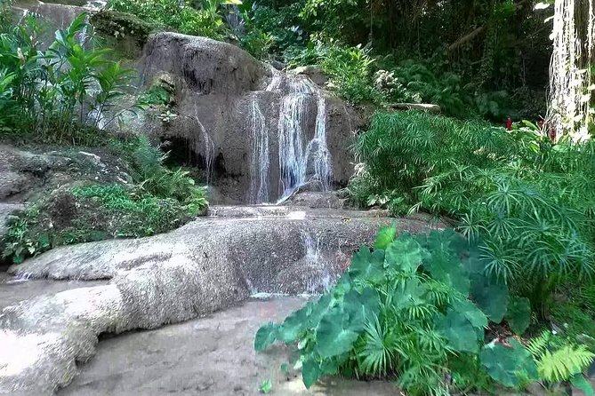 Konoko Falls and Tropical Garden Tour from Ocho Rios - Konoko Falls, Tropical Gardens, and Ocho Rios Views