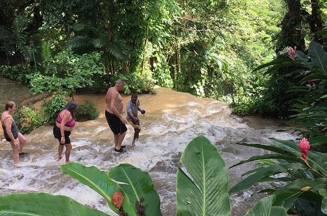 Konoko Falls and Tropical Garden Tour from Ocho Rios - Timing, Transport, and How the 3 Hours Add Up