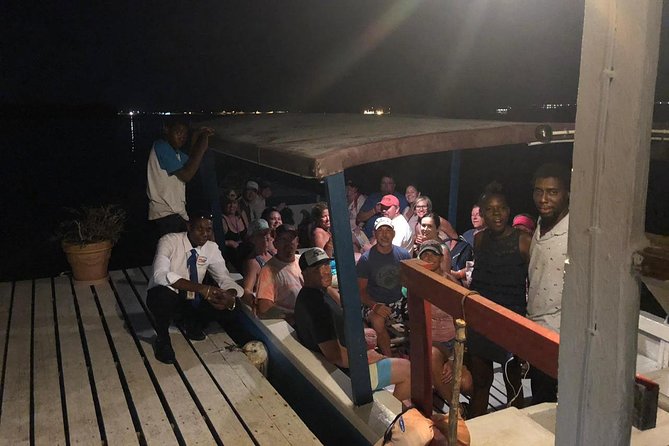 Luminous Lagoon After Dark Tour - Who should book this tour (and who might skip it)