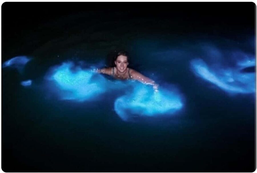 Luminous Lagoon Experience: Ocho Rios Runaway Bay & Falmouth - Key points to know before you go