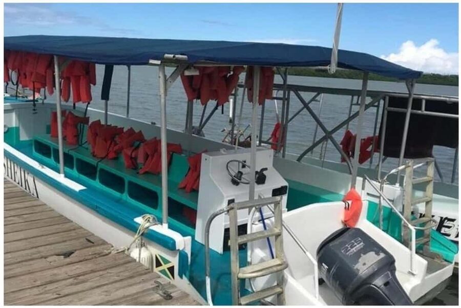 Luminous Lagoon Experience: Ocho Rios Runaway Bay & Falmouth - What to bring: small items that make the swim easier