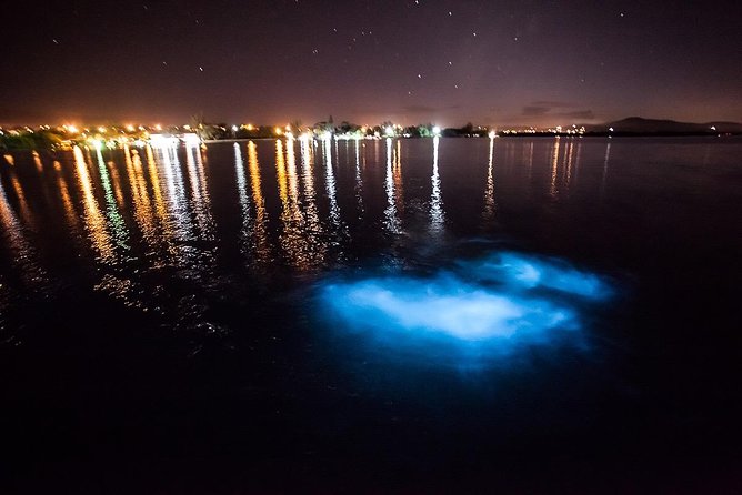 Luminous Lagoon Experience - The boat ride and the night swim: how the glow shows up in real time