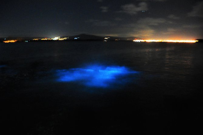 Luminous Lagoon "Glistening Waters" Tour from Grand Palladium Resorts - Price and value: is $125 fair for what you get?