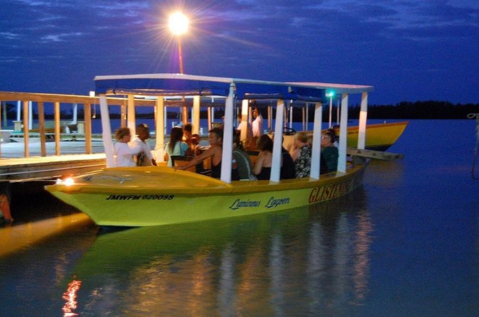 Luminous Lagoon Glow in the Dark Boat Tour from Montego Bay - Should you book the Luminous Lagoon glow boat tour?