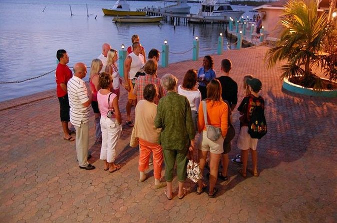 Luminous Lagoon Night Cruise From Montego Bay - Who This Luminous Lagoon Cruise Fits Best