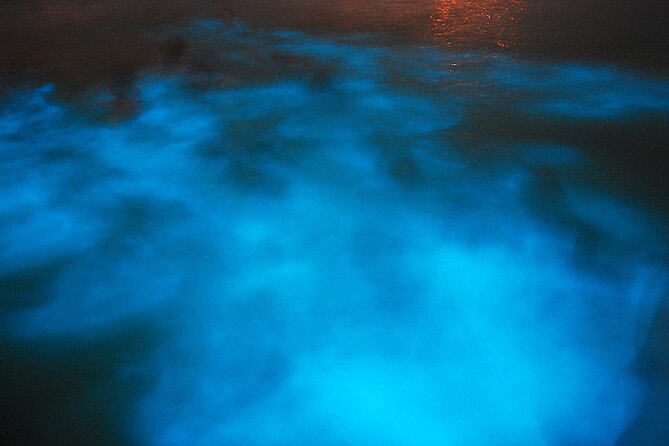 Luminous Lagoon Night Cruise From Montego Bay - Getting There Smoothly: 7:00 PM Pickup, Marina Time, and Zero Hassle