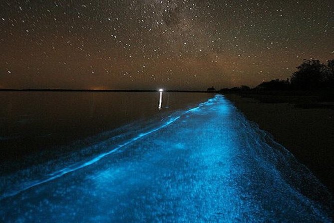 Luminous Lagoon Night-Time Tour from Montego Bay - Price and value: is $105 a fair deal?