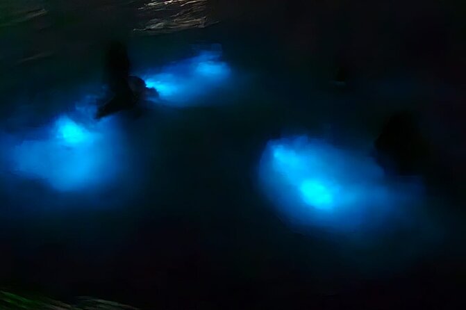 Luminous Lagoon Night Tour and Swim/Fire Dance from Montego Bay - Key Highlights You Should Know
