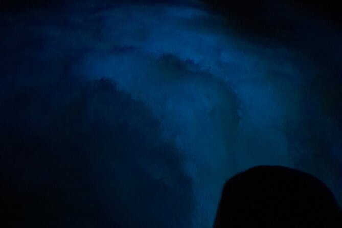 Luminous Lagoon Night Tour and Swim/Fire Dance from Montego Bay - Who Should Book (and Who Should Think Twice)
