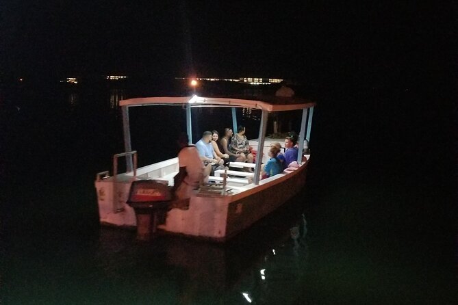 Luminous Lagoon Night Tour from Montego Bay - Group size, vibe, and the names behind the scenes
