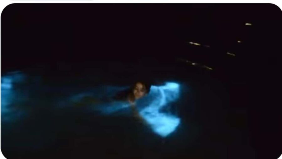 Luminous lagoon : Night Tour from Ocho Rios and Runaway Bay - Key things to know before you go