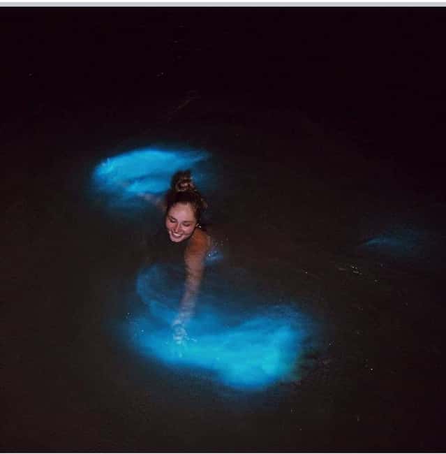 Luminous lagoon : Night Tour from Ocho Rios and Runaway Bay - The 1-Hour Lagoon Visit: Boat Ride and Guided Time on the Water
