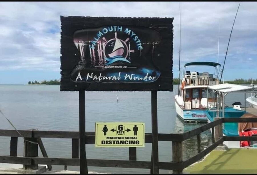Luminous lagoon : Night Tour from Ocho Rios and Runaway Bay - Price and Value: Is $81 Worth It?