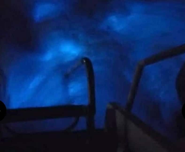 Luminous lagoon : Night Tour from Ocho Rios and Runaway Bay - Who This Tour Fits Best, and Who Should Skip It