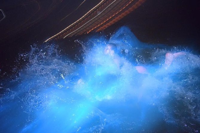 Luminous Lagoon Night Tour from Ocho Rios - Price and What You’re Really Buying for $120