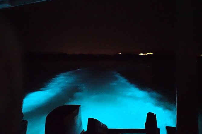 Luminous lagoon Night Tour Montego Bay - The fire show: why it belongs in the lagoon package