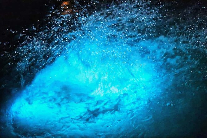 Luminous lagoon Night Tour Montego Bay - Timing and group size: what to expect in 2 to 3 hours