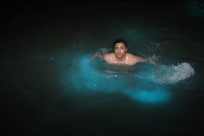 Luminous Lagoon Private Tour - Key highlights you’ll care about