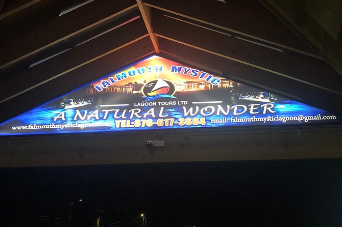 Luminous Lagoon Private Tour - Price and Value for a Group Up to 4