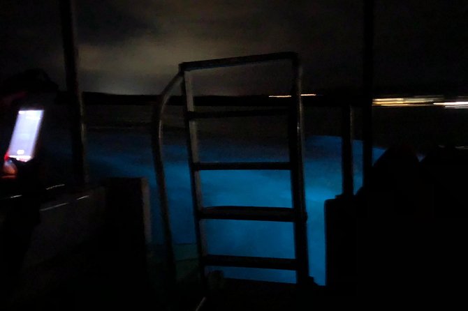 Luminous Lagoon Private Tour - Families and Friend Groups: Why This Works So Well