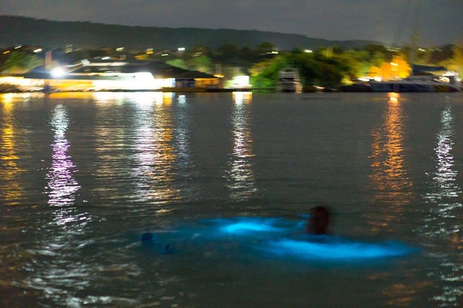 Luminous Lagoon Sightseeing Tour in Montego Bay - Key things that make this Luminous Lagoon tour work