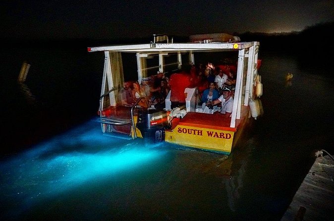 Luminous Lagoon Small Group Tour from Ocho Rios - On the water: what the boat ride feels like in glowing water