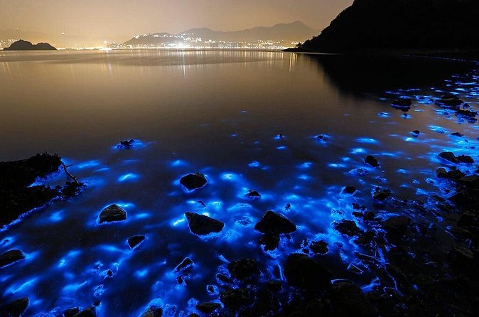 Luminous Lagoon Small Group Tour from Ocho Rios - Swimming in the lagoon: the wow moment, with one real-world check