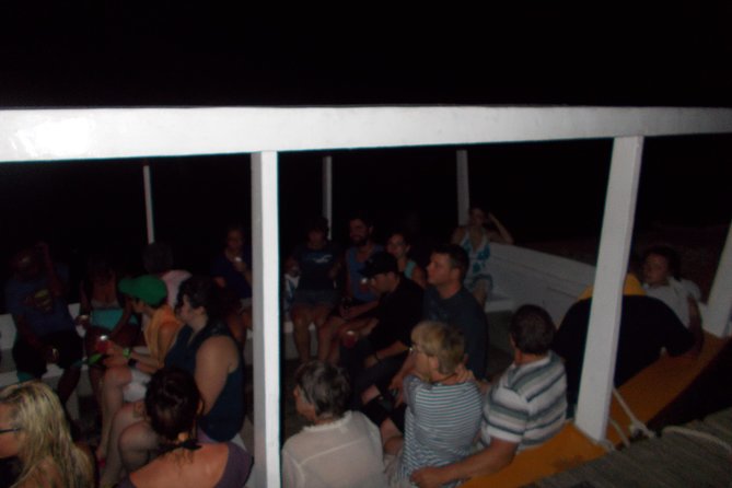 Luminous Lagoon Tour from Montego Bay & Rosehall Hotels - Why the Luminous Lagoon glows (and what your boat trip does)