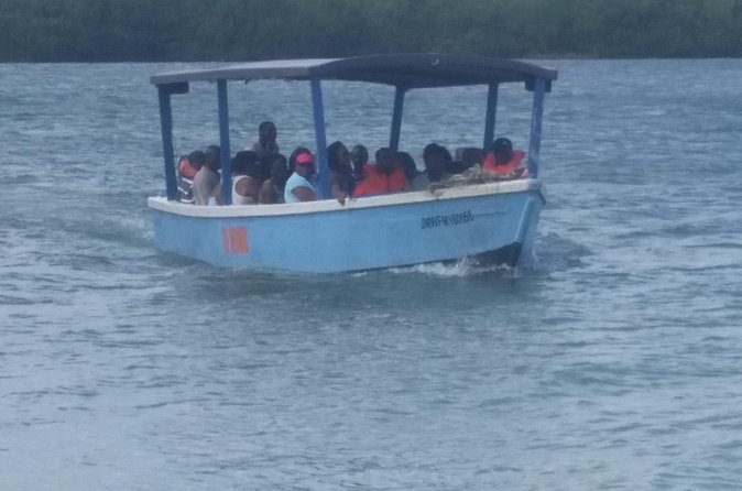 Luminous Lagoon Tour from Montego Bay & Rosehall Hotels - What’s included on this tour, and what you should plan for
