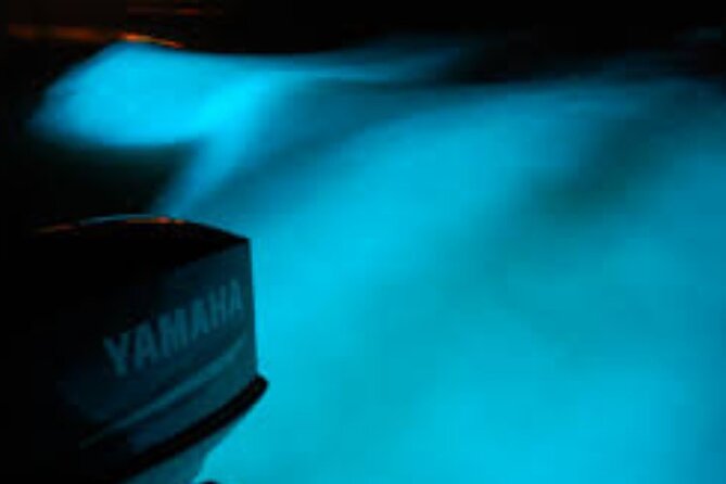Magical Luminous Lagoon Private Tour - Who should book this private luminous lagoon tour